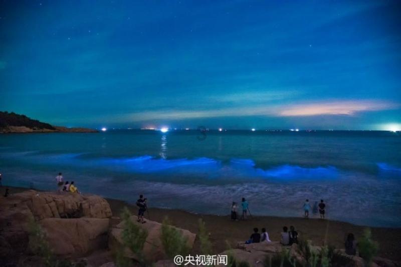 超百家企业获国际贸易“金牌证书”