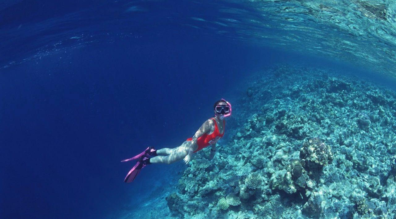 流水线滚筒称重系统
